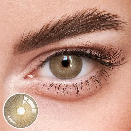 EOSLENS New York Brown  | 1 Year