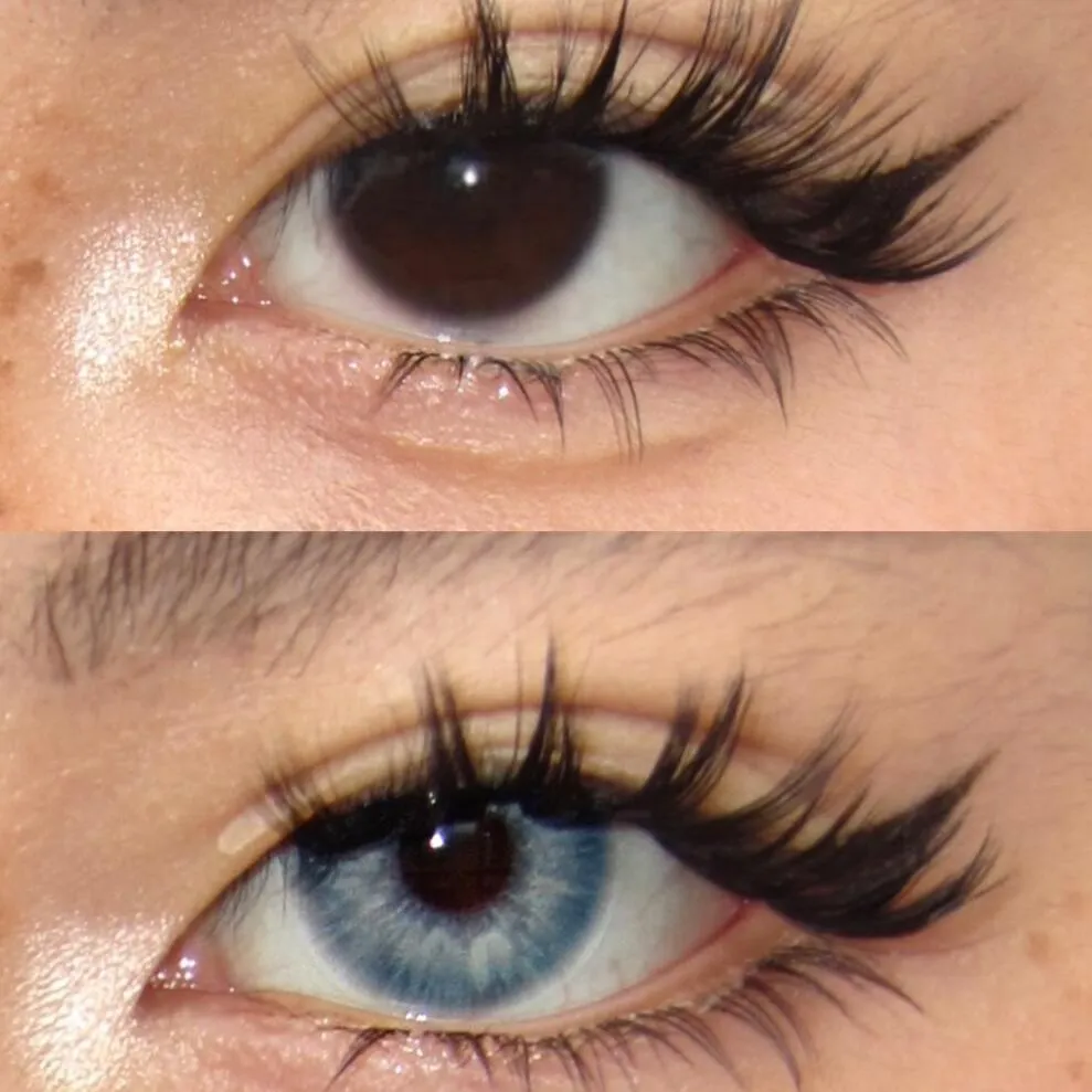 EOSLENS Blue Circuit | 1 Year