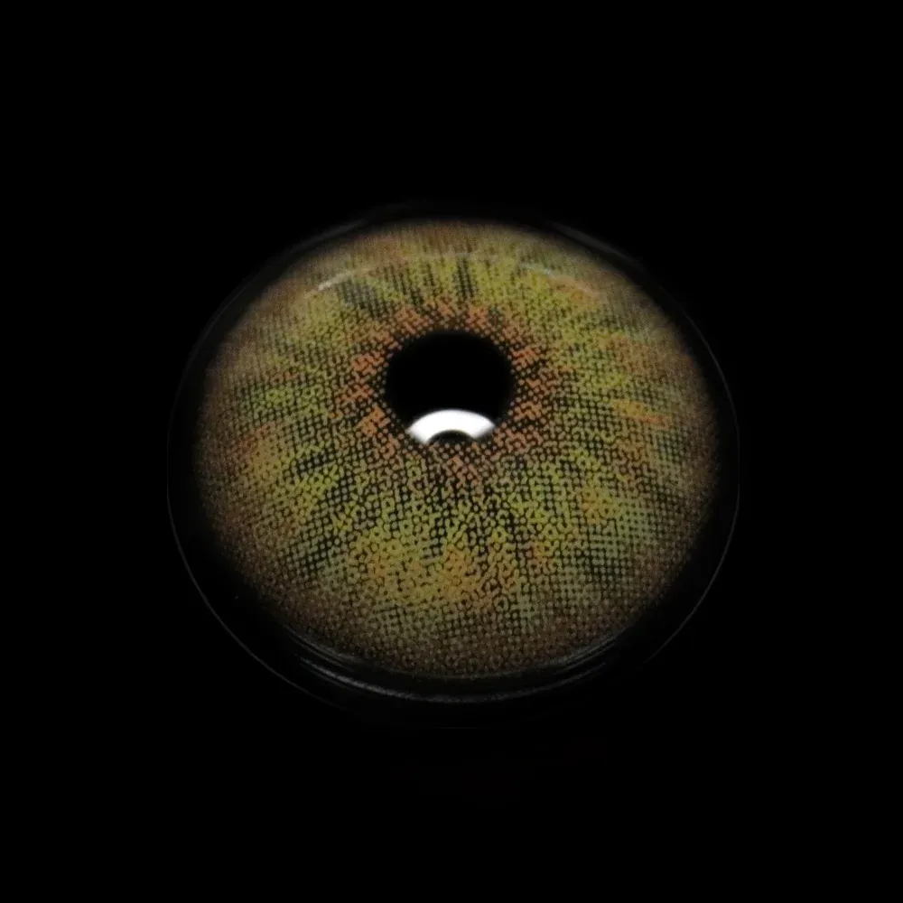 EOSLENS Petite Iris Brown | 1 Year